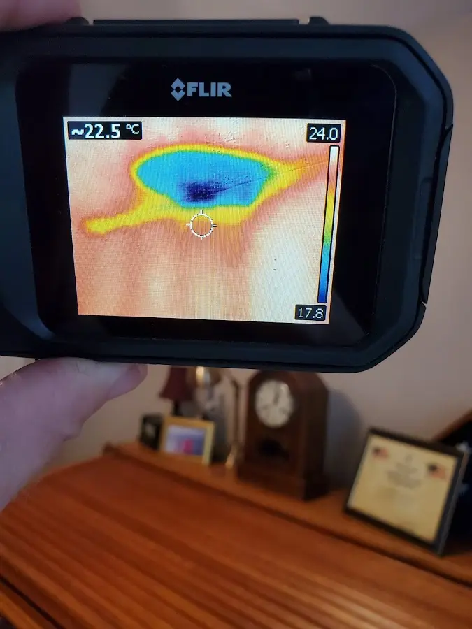 Thermal imaging inspection for water damage in Alpine